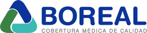 logo roisa